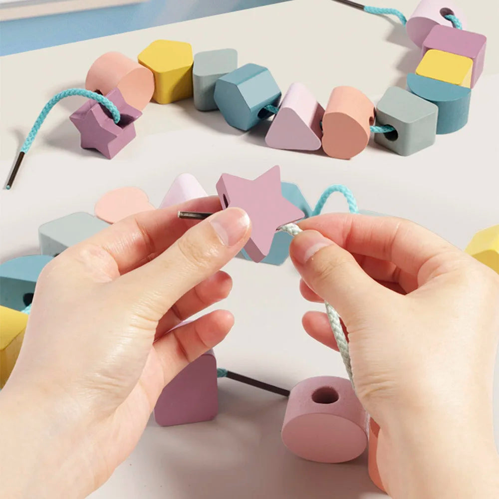 Montessori Wooden Color Shape Matching Puzzle Game